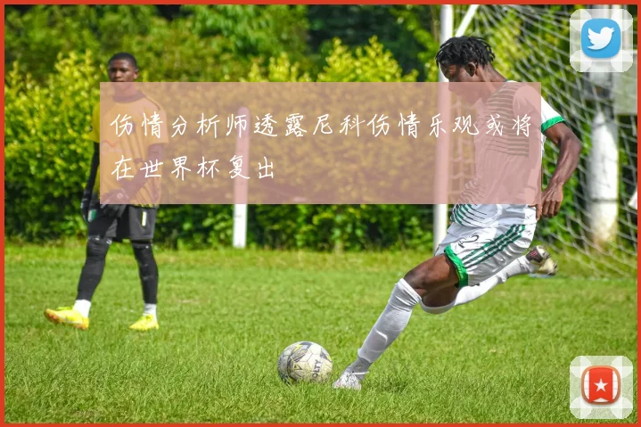 伤情分析师透露尼科伤情乐观或将在世界杯复出